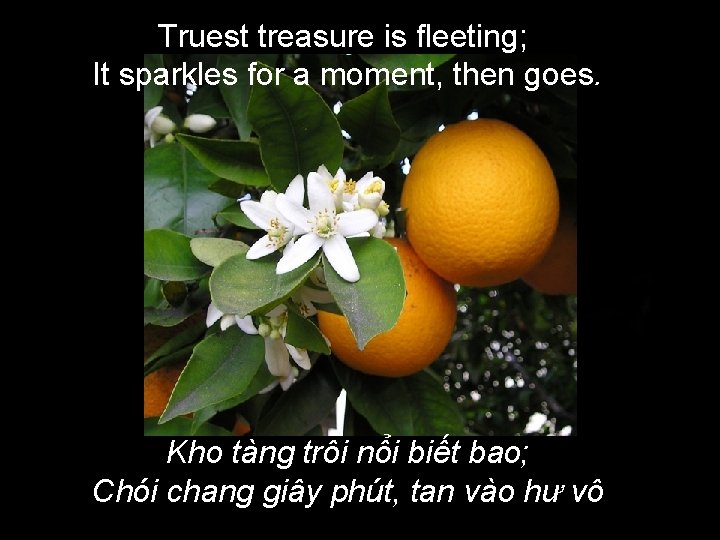 Truest treasure is fleeting; It sparkles for a moment, then goes. Kho tàng trôi