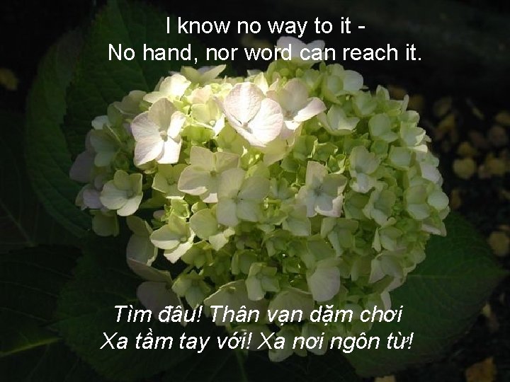 I know no way to it No hand, nor word can reach it. Tìm