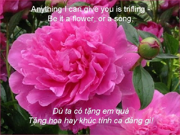 Anything I can give you is trifling Be it a flower, or a song.