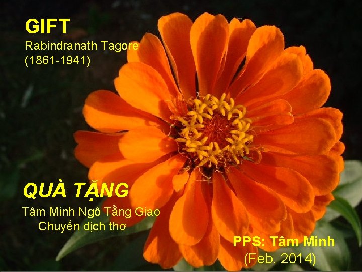 GIFT Rabindranath Tagore (1861 -1941) QUÀ TẶNG Tâm Minh Ngô Tằng Giao Chuyển dịch