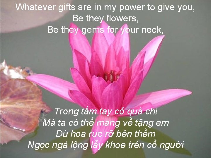 Whatever gifts are in my power to give you, Be they flowers, Be they