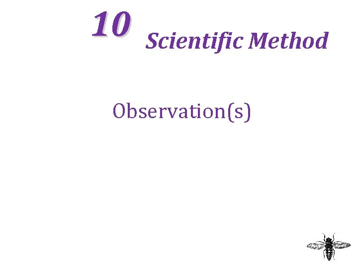 10 Scientific Method Observation(s) 