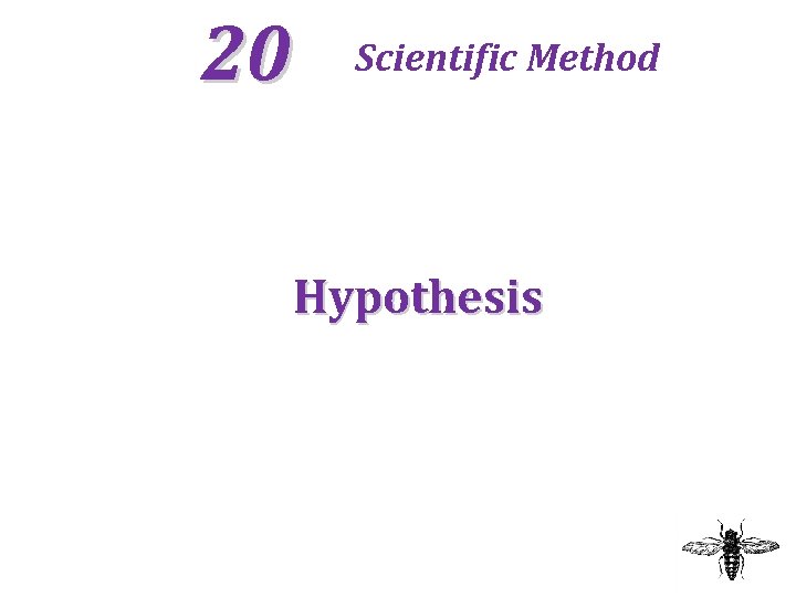 20 Scientific Method Hypothesis 