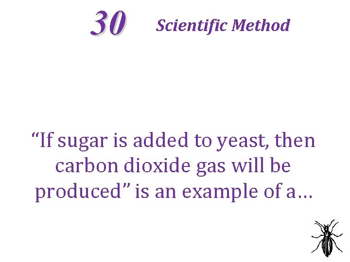 30 Scientific Method “If sugar is added to yeast, then carbon dioxide gas will