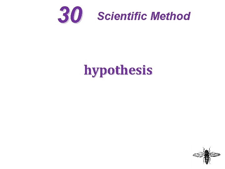 30 Scientific Method hypothesis 