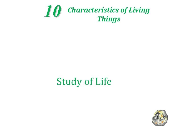 10 Characteristics of Living Things Study of Life 