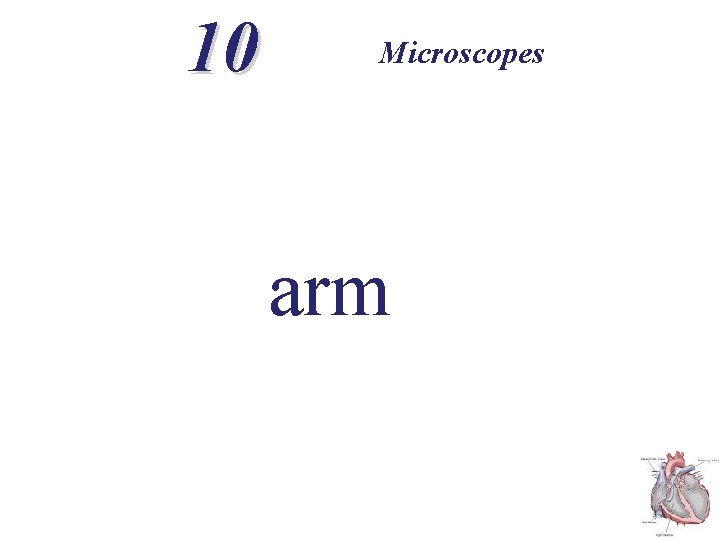 10 Microscopes arm 