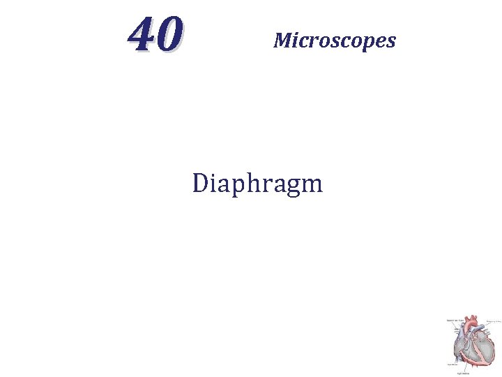 40 Microscopes Diaphragm 