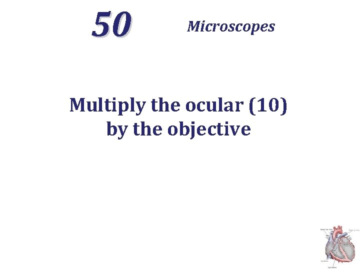 50 Microscopes Multiply the ocular (10) by the objective 