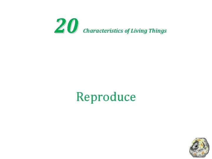 20 Characteristics of Living Things Reproduce 