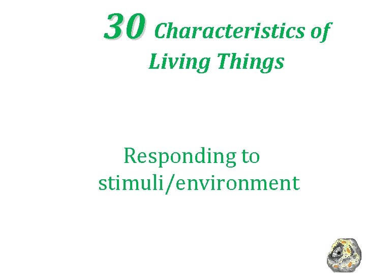 30 Characteristics of Living Things Responding to stimuli/environment 