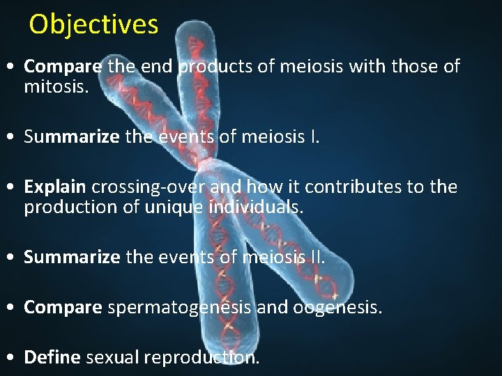 Objectives • Compare the end products of meiosis with those of mitosis. • Summarize