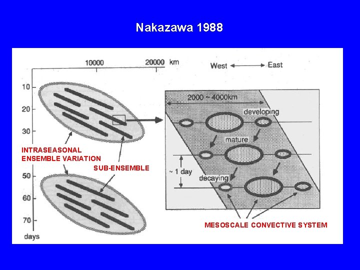 Nakazawa 1988 INTRASEASONAL ENSEMBLE VARIATION SUB-ENSEMBLE MESOSCALE CONVECTIVE SYSTEM 