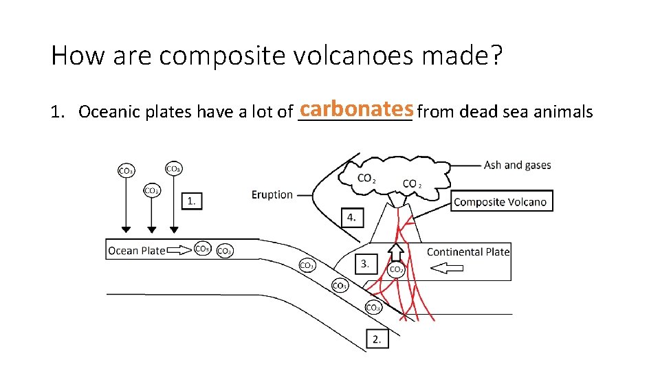How are composite volcanoes made? carbonates from dead sea animals 1. Oceanic plates have