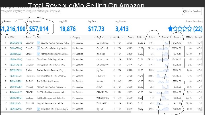 Total Revenue/Mo Selling On Amazon Lorem ipsum dolor sit amet, consectetur 