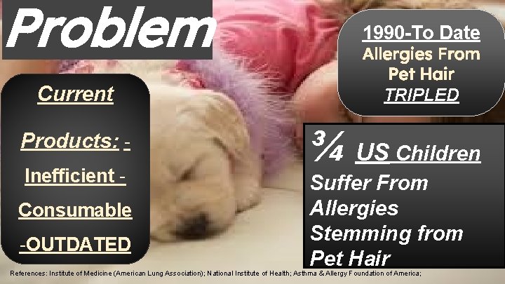 Problem Current Products: Inefficient Consumable -OUTDATED 1990 -To Date Allergies From Pet Hair TRIPLED