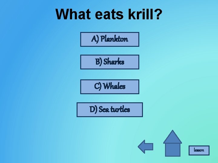 What eats krill? A) Plankton B) Sharks C) Whales D) Sea turtles lesson 