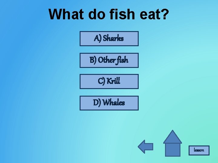 What do fish eat? A) Sharks B) Other fish C) Krill D) Whales lesson