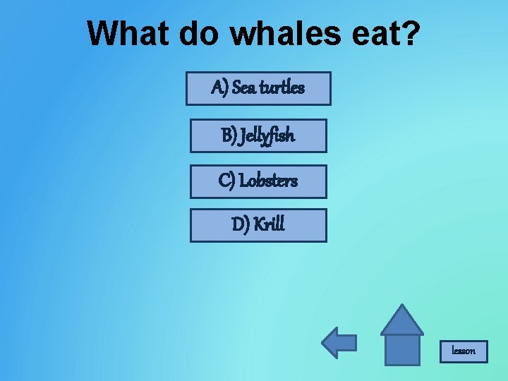What do whales eat? A) Sea turtles B) Jellyfish C) Lobsters D) Krill lesson