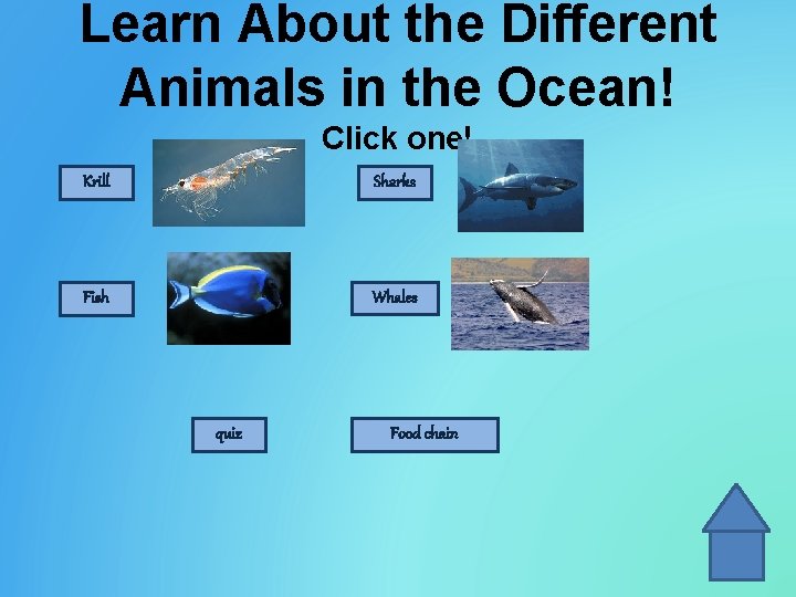 Learn About the Different Animals in the Ocean! Click one! Krill Sharks Fish Whales