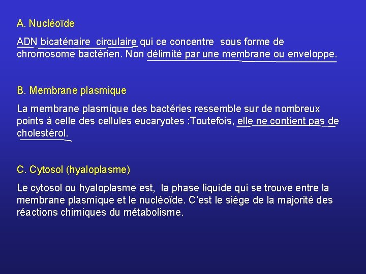 A. Nucléoïde ADN bicaténaire circulaire qui ce concentre sous forme de chromosome bactérien. Non