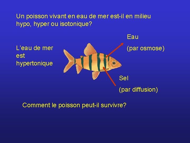 Un poisson vivant en eau de mer est-il en milieu hypo, hyper ou isotonique?