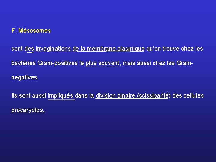 F. Mésosomes sont des invaginations de la membrane plasmique qu’on trouve chez les bactéries