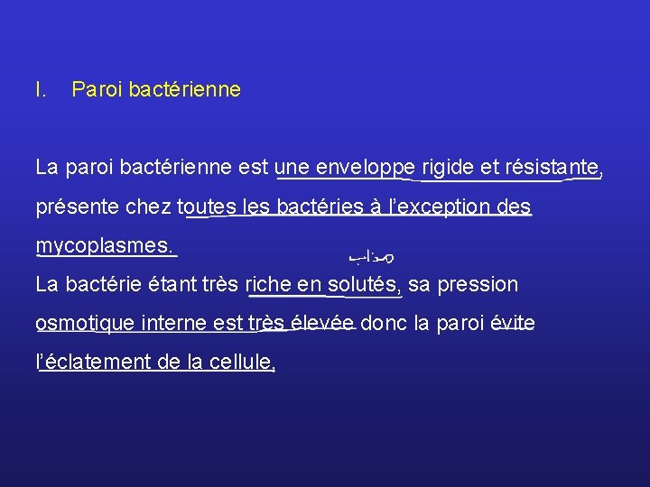 I. Paroi bactérienne La paroi bactérienne est une enveloppe rigide et résistante, présente chez