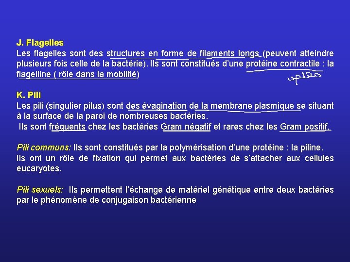J. Flagelles Les ﬂagelles sont des structures en forme de ﬁlaments longs (peuvent atteindre