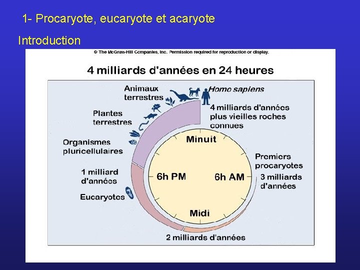 1 - Procaryote, eucaryote et acaryote Introduction 