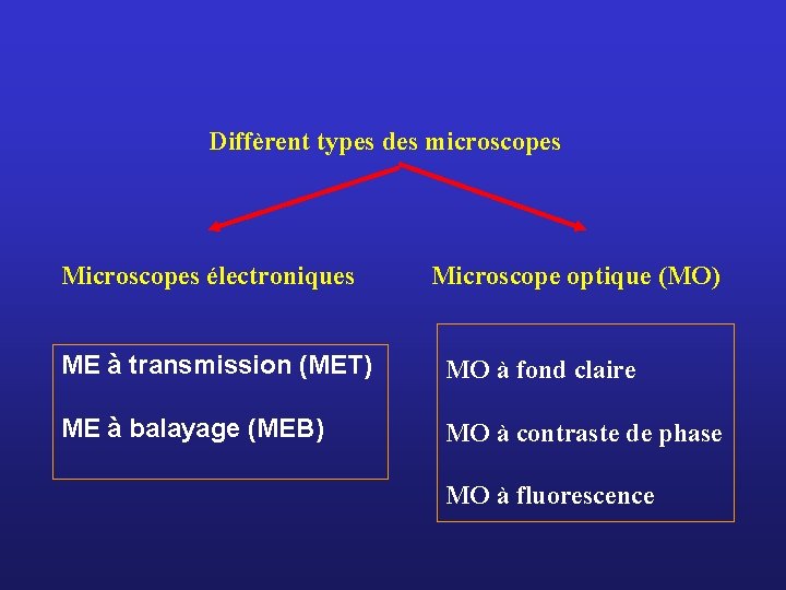 Diffèrent types des microscopes Microscopes électroniques Microscope optique (MO) ME à transmission (MET) MO