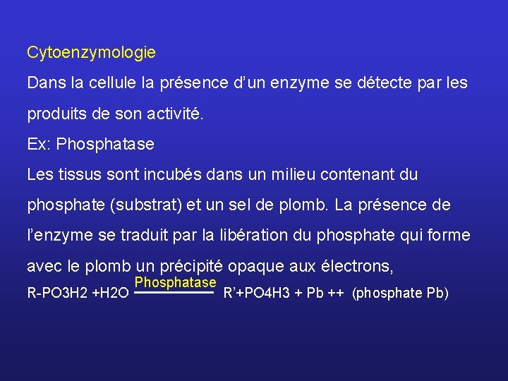 Cytoenzymologie Dans la cellule la présence d’un enzyme se détecte par les produits de