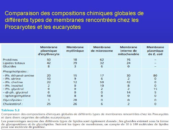 Comparaison des compositions chimiques globales de différents types de membranes rencontrées chez les Procaryotes