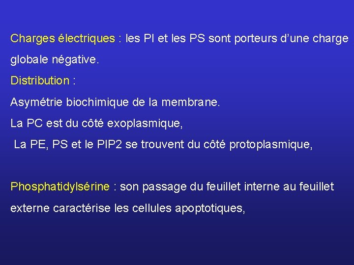 Charges électriques : les PI et les PS sont porteurs d’une charge globale négative.