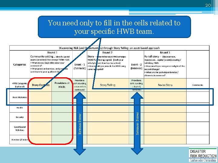 20 Intrinsic Driver Extrinsi Driver You need only to fill in the cells related