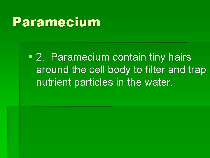 Paramecium § 2. Paramecium contain tiny hairs around the cell body to filter and