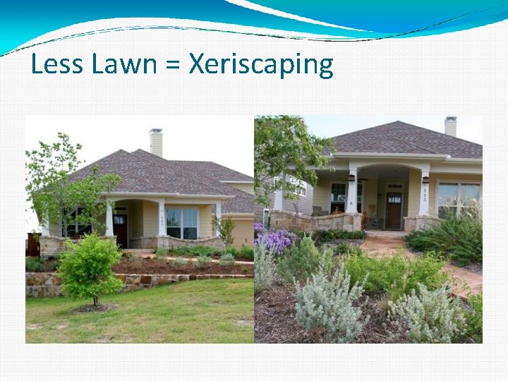 Less Lawn = Xeriscaping 