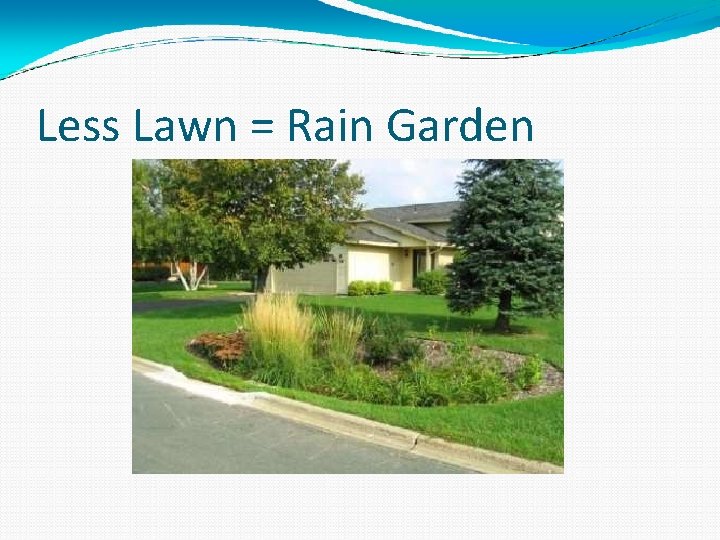 Less Lawn = Rain Garden 