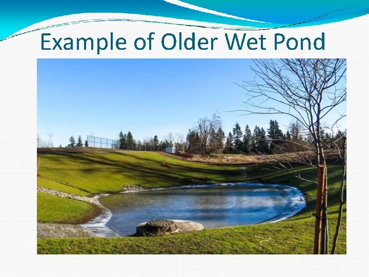 Example of Older Wet Pond 