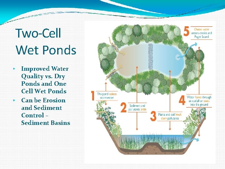 Two-Cell Wet Ponds • • Improved Water Quality vs. Dry Ponds and One Cell