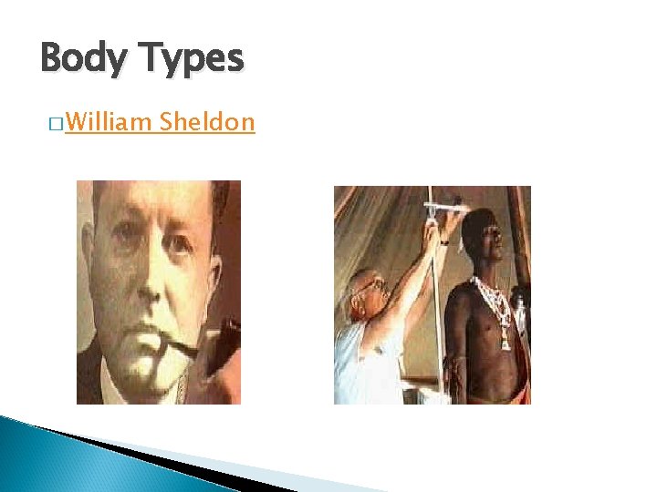 Body Types � William Sheldon 