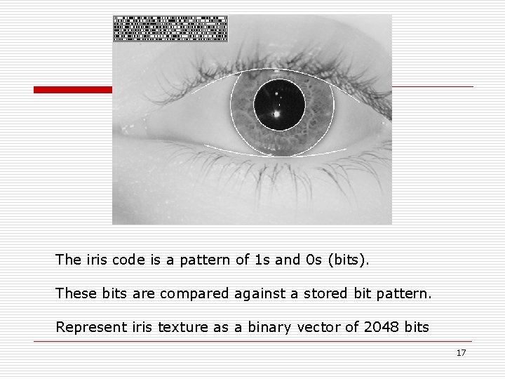 The iris code is a pattern of 1 s and 0 s (bits). These