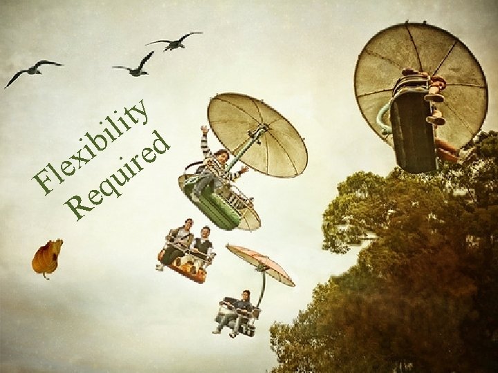 y t i l i b d i e x r i e l