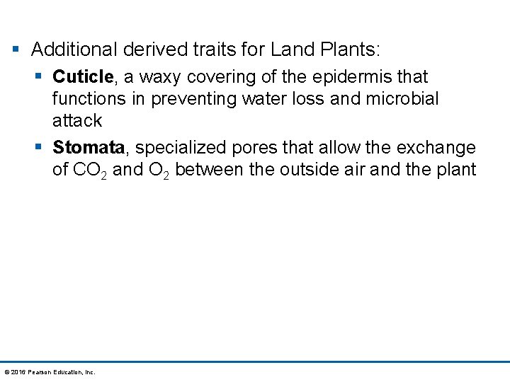 § Additional derived traits for Land Plants: § Cuticle, a waxy covering of the