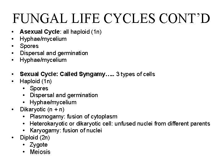 FUNGAL LIFE CYCLES CONT’D • • • Asexual Cycle: all haploid (1 n) Hyphae/mycelium