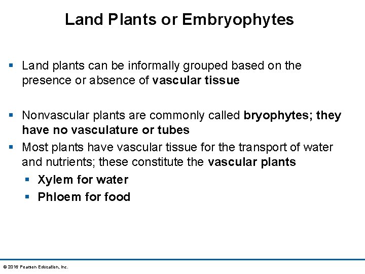 Land Plants or Embryophytes § Land plants can be informally grouped based on the