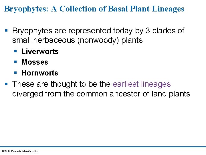 Bryophytes: A Collection of Basal Plant Lineages § Bryophytes are represented today by 3