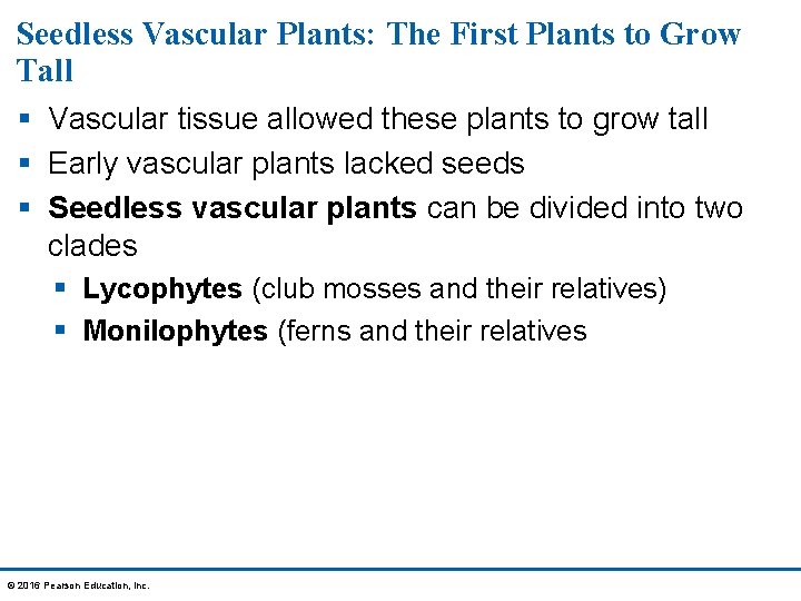 Seedless Vascular Plants: The First Plants to Grow Tall § Vascular tissue allowed these