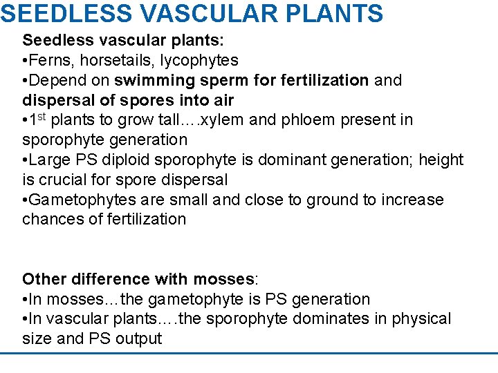 SEEDLESS VASCULAR PLANTS Seedless vascular plants: • Ferns, horsetails, lycophytes • Depend on swimming