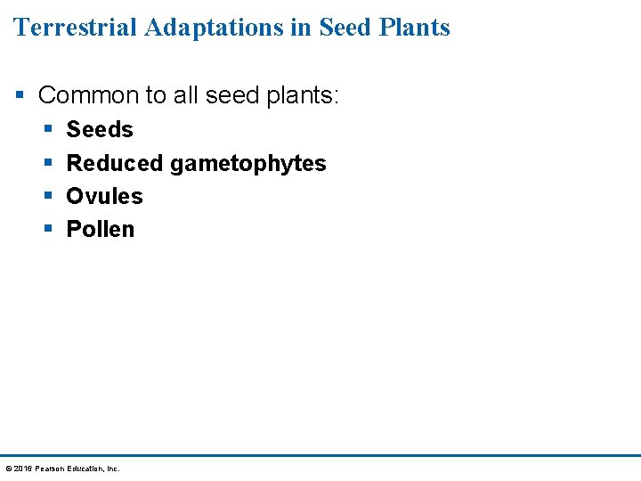 Terrestrial Adaptations in Seed Plants § Common to all seed plants: § § Seeds